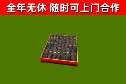名山回收海参